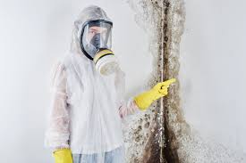 Best Industrial Mold Remediation  in Gibbsboro, NJ